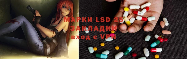 индика Балахна