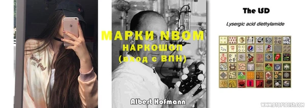 индика Балахна