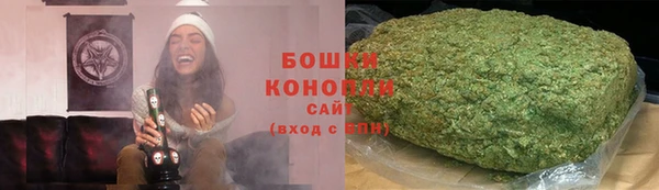 индика Балахна