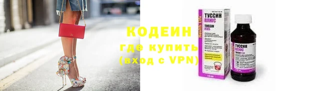 прущие грибы Ступино