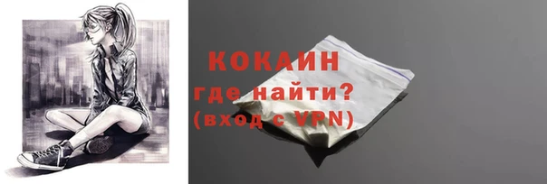 индика Балахна