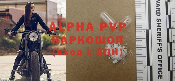 индика Балахна