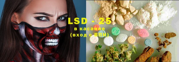 индика Балахна